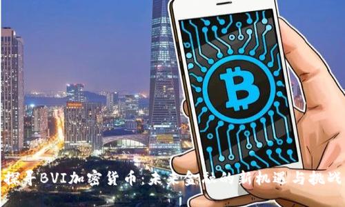 探寻BVI加密货币：未来金融的新机遇与挑战