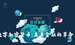 支付数字加密货币：未来