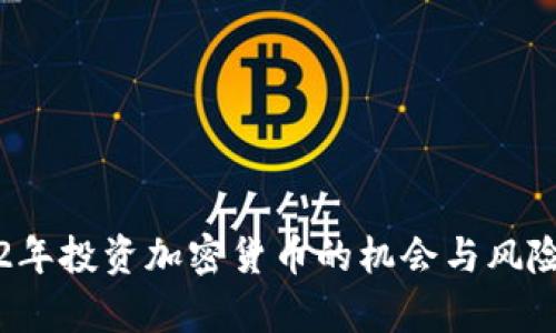 2022年投资加密货币的机会与风险分析