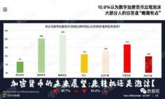 加密货币的未来展望：是