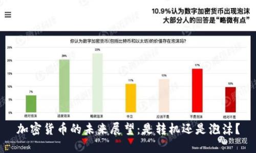 加密货币的未来展望：是转机还是泡沫？