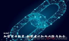xml加密货币投资：初学者