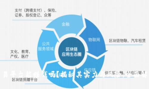加密货币交易平台能赚钱吗？揭秘其实力与风险，全面解析投资策略