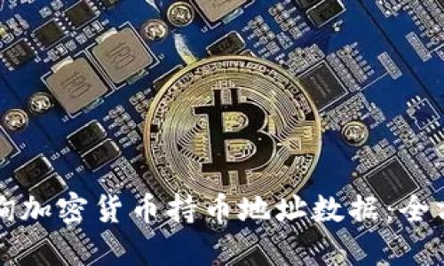 如何查询加密货币持币地址数据：全方位指南