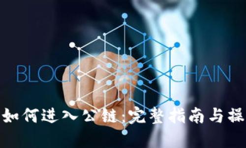 TP钱包如何进入公链：完整指南与操作步骤