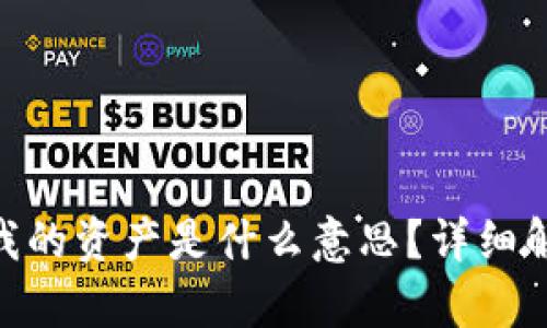 iaotit p钱包我的资产是什么意思？详细解析与使用指南