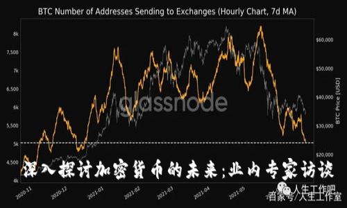  深入探讨加密货币的未来：业内专家访谈