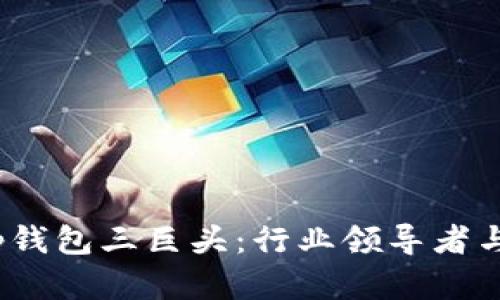 : 解析t p钱包三巨头：行业领导者与未来趋势
