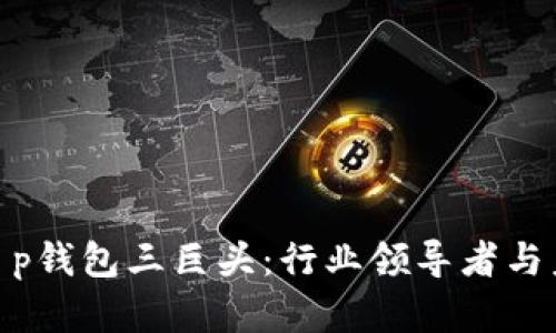 : 解析t p钱包三巨头：行业领导者与未来趋势