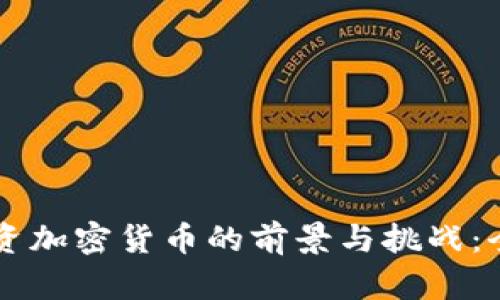 美图投资加密货币的前景与挑战：全面解析