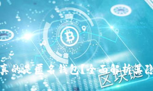 TP钱包是否真的是匿名钱包？全面解析其隐私保护机制