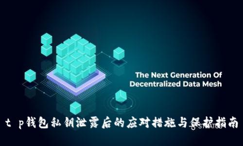 t p钱包私钥泄露后的应对措施与保护指南