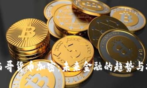 墨西哥货币加密：未来金融的趋势与挑战