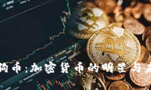 全面解析狗狗币：加密货币的明星与未来发展前景