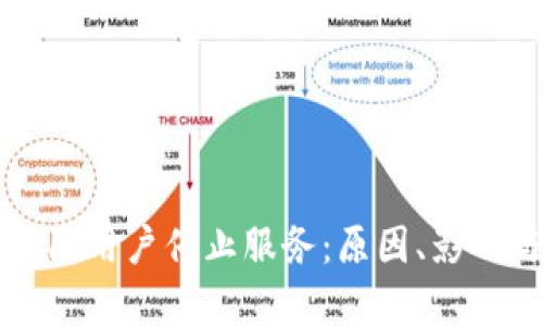 TP钱包内测版大陆用户停止服务：原因、影响与未来趋势分析