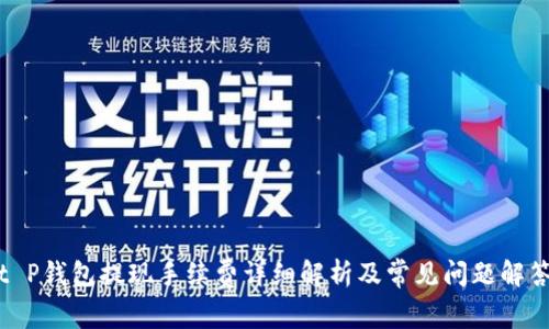 t P钱包提现手续费详细解析及常见问题解答
