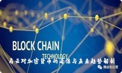 马云对加密货币的看法与未来趋势解析