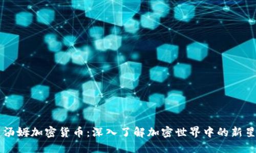 汤姆加密货币：深入了解加密世界中的新星