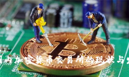 : 中国国内加密货币交易所的现状与发展趋势