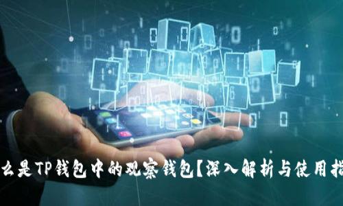 什么是TP钱包中的观察钱包?深入解析与使用指南