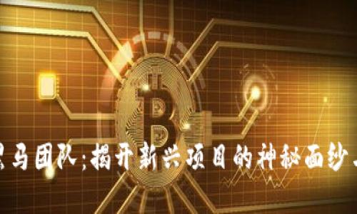 加密货币黑马团队:揭开新兴项目的神秘面纱与投资机会