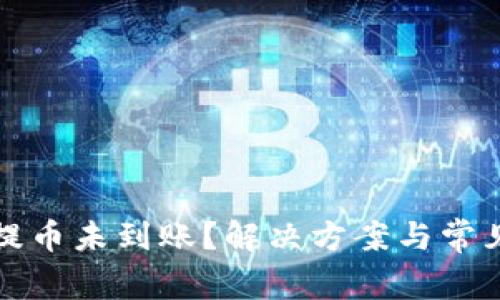 : TP钱包提币未到账？解决方案与常见问题解析