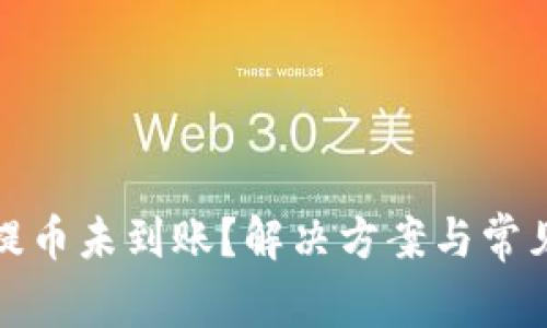 : TP钱包提币未到账？解决方案与常见问题解析