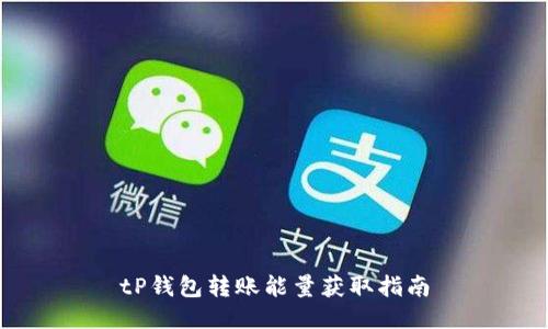 tP钱包转账能量获取指南