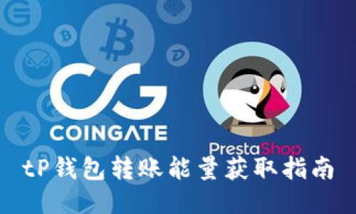 tP钱包转账能量获取指南