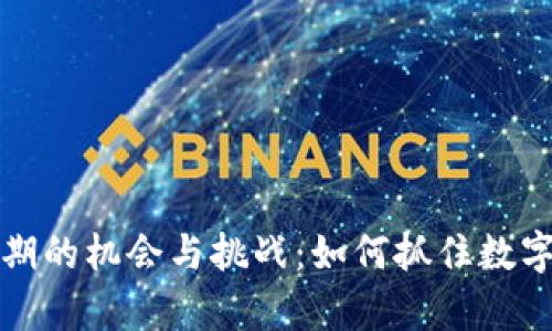 加密货币牛市早期的机会与挑战:如何抓住数字资产的投资潜力