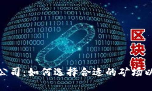 加密货币挖掘公司:如何选择合适的矿场以提高投资回报