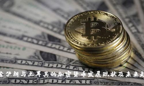 探索伊朗与土耳其的加密货币发展现状及未来趋势