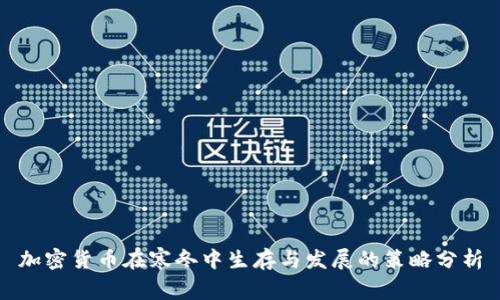 加密货币在寒冬中生存与发展的策略分析