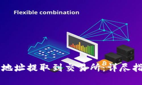 如何将TP钱包地址提取到交易所:详尽指南与步骤分析
