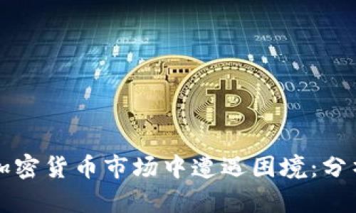 穷人如何在加密货币市场中遭遇困境:分析与应对策略