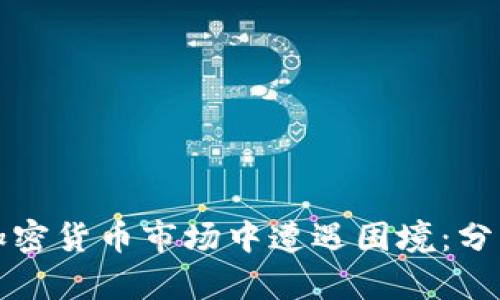 穷人如何在加密货币市场中遭遇困境:分析与应对策略
