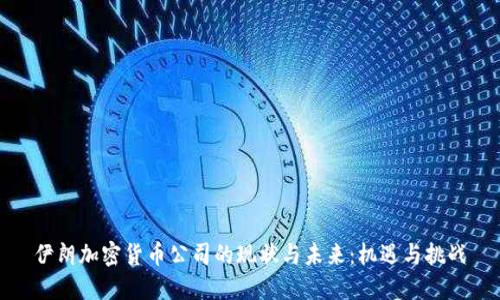 伊朗加密货币公司的现状与未来:机遇与挑战