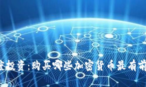 灰度投资:购买哪些加密货币最有前景?