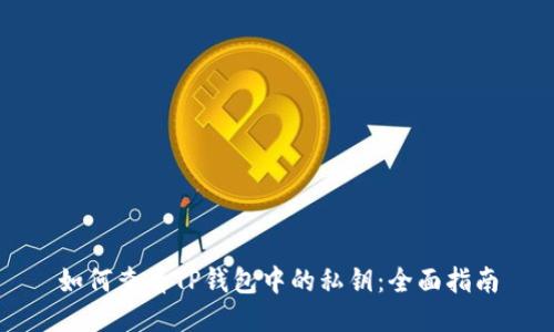 如何查看TP钱包中的私钥:全面指南