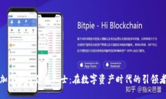 加密货币传播人士：在数