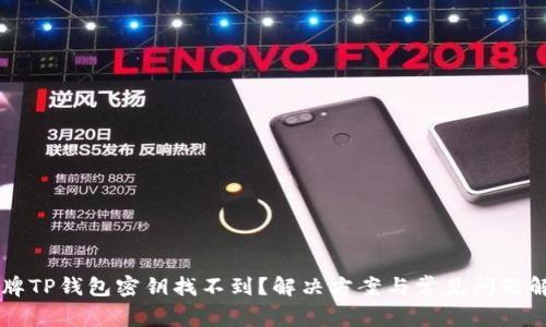 品牌TP钱包密钥找不到?解决方案与常见问题解析