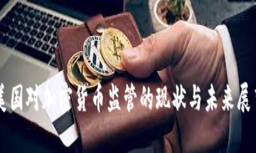 美国对加密货币监管的现状与未来展望
