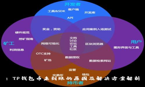 : TP钱包币未到账的原因及解决方案解析