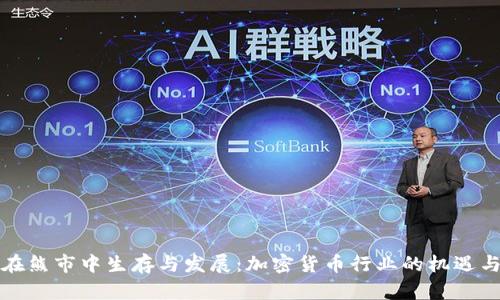 如何在熊市中生存与发展:加密货币行业的机遇与挑战