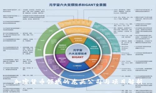 加密货币领域的龙头公司与项目解析