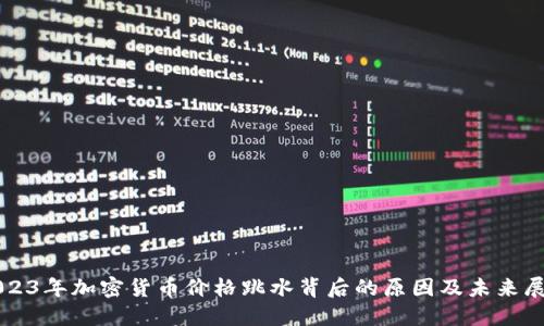 2023年加密货币价格跳水背后的原因及未来展望