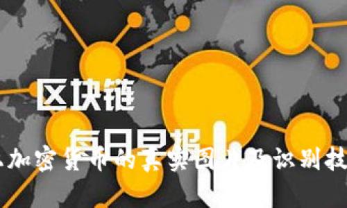 手机上加密货币的真实图片及识别技巧指南