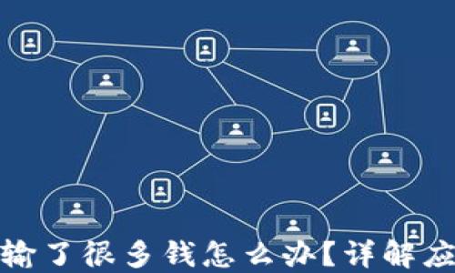 TP钱包输了很多钱怎么办?详解应对策略