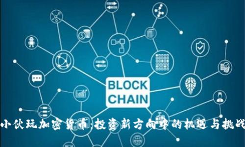 小伙玩加密货币:投资新方向中的机遇与挑战