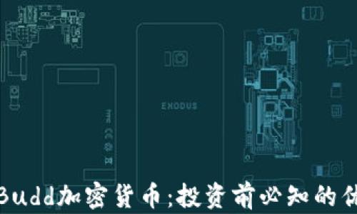深度解析Budd加密货币:投资前必知的优势与风险